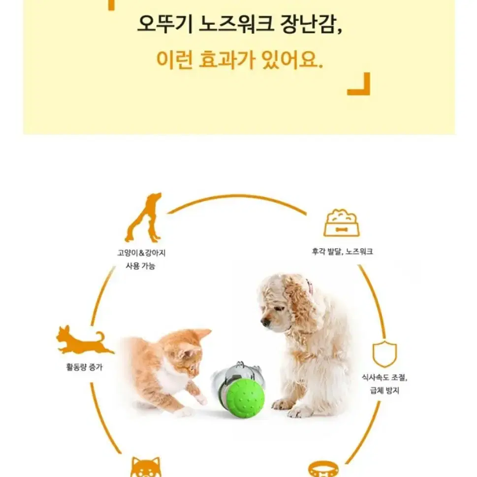 노즈워크 장난감