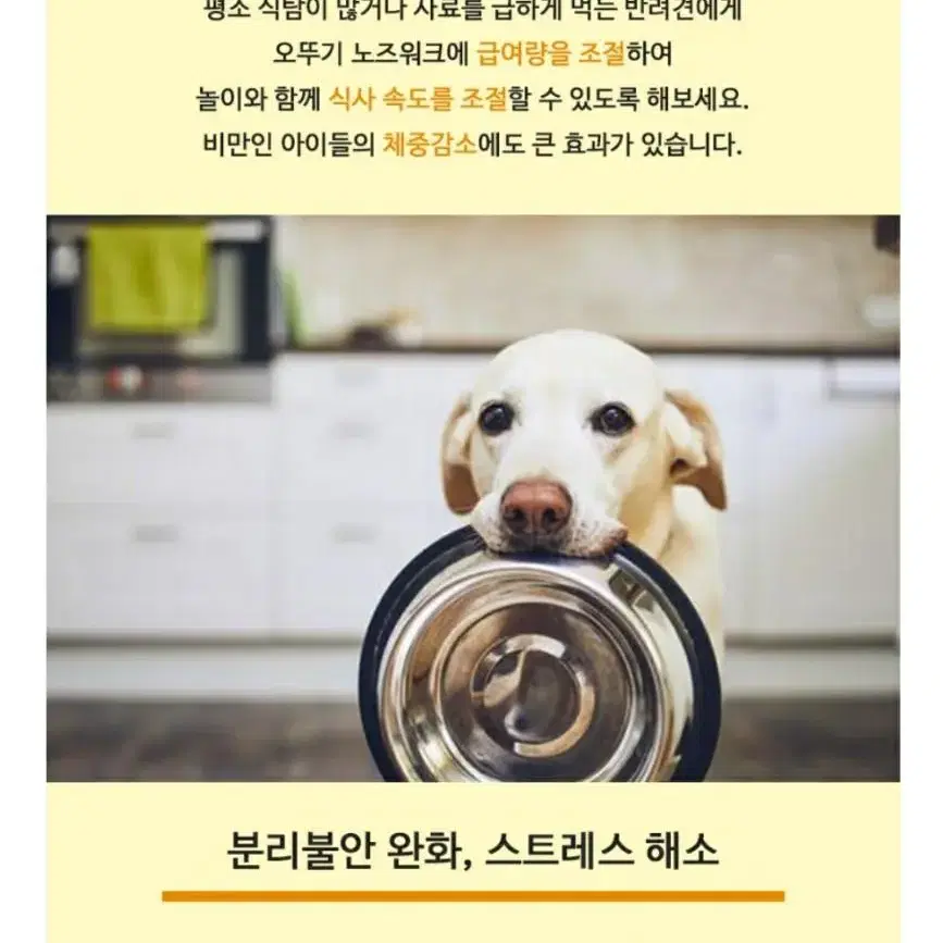 노즈워크 장난감