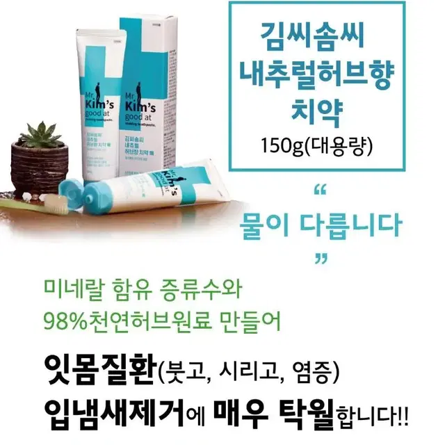 김씨솜씨 네츄럴 허브향치약 150g