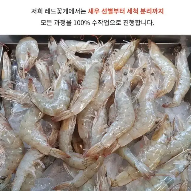 [무배] 탱글쫀득 양념 새우장 150g