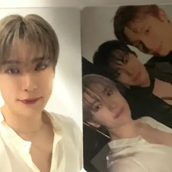 NCT 도재정 퍼퓸 재현 포카 단체 포카 일괄