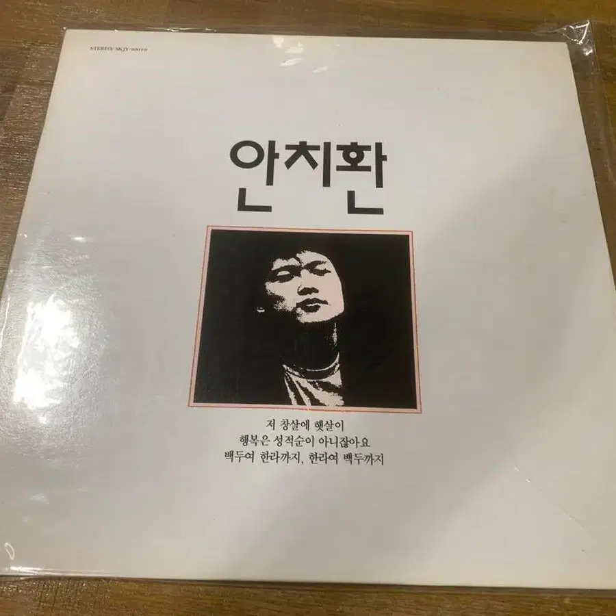 안치환 lp