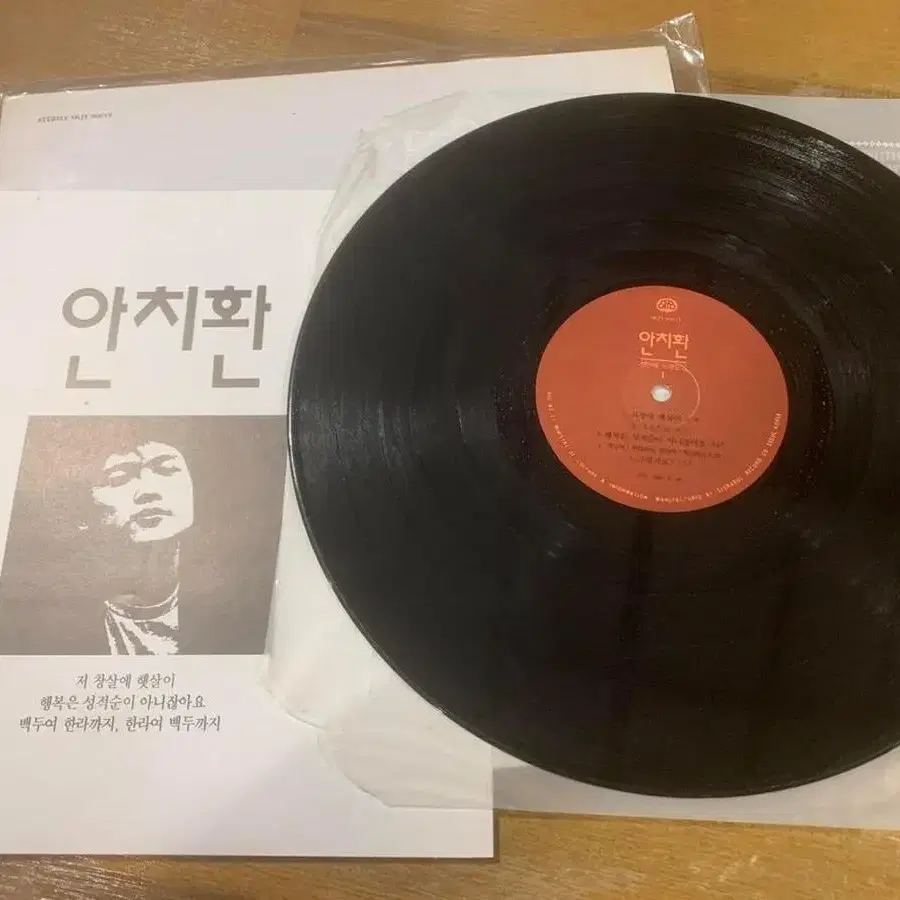 안치환 lp