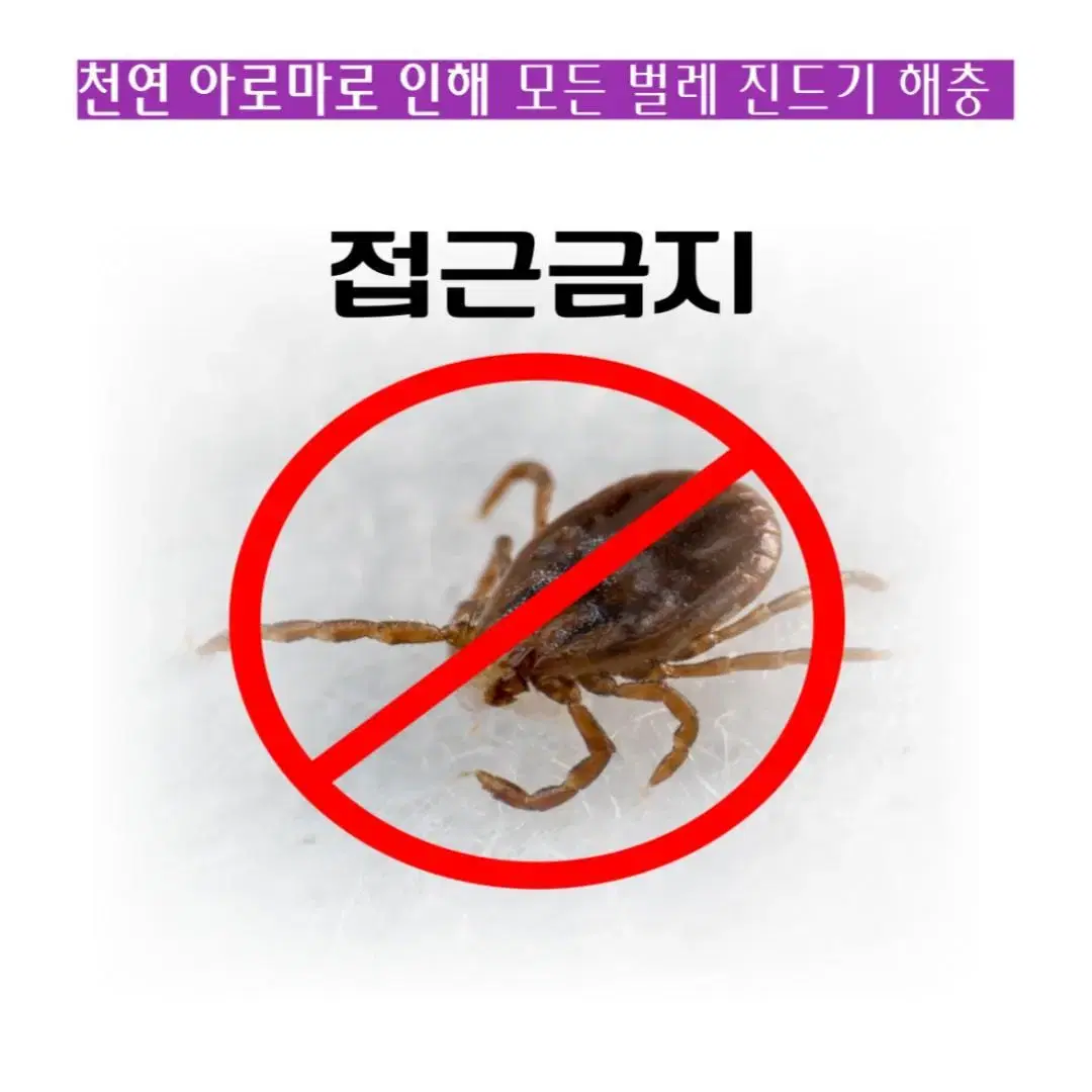 짱콩이네 천연 샴푸바 120g