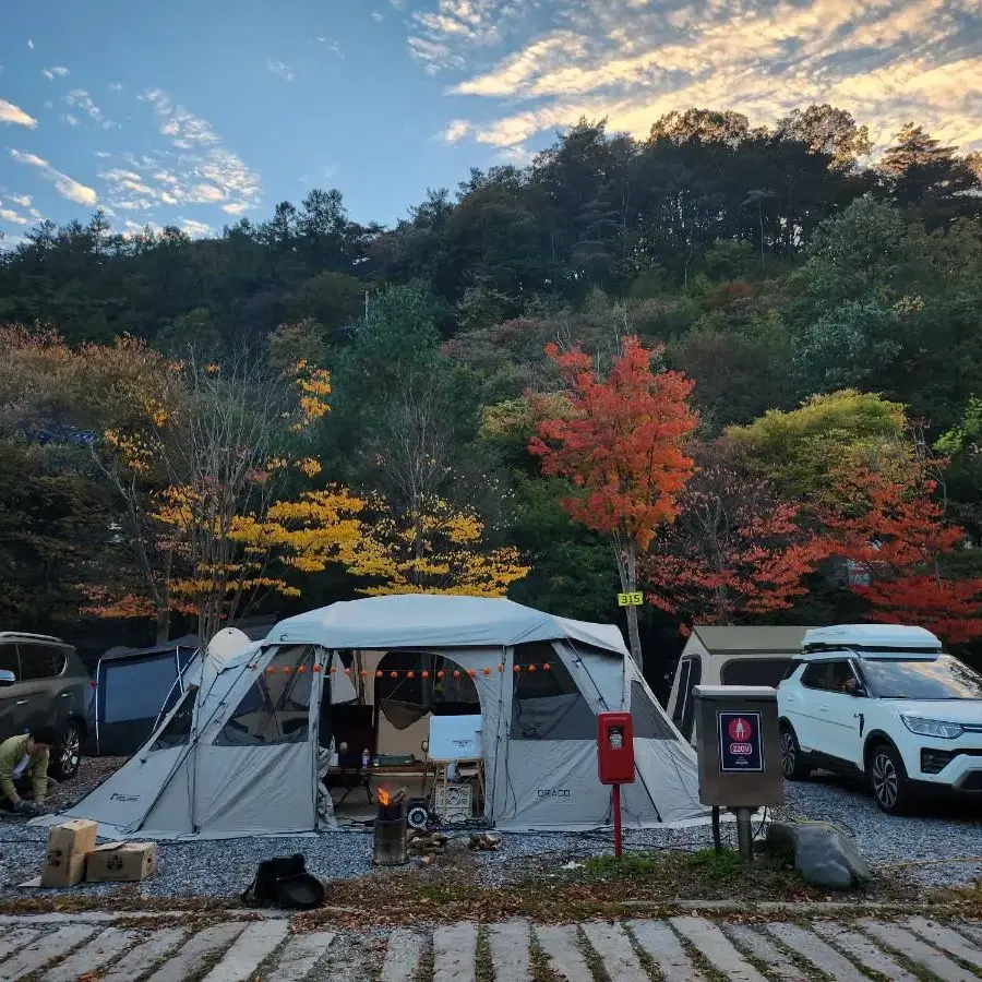 (최저가)폴라리스 드라코 텐트 웜그레이