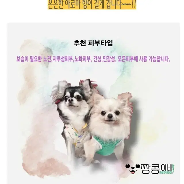 짱콩이네 바나나 컨디셔너 바 80g