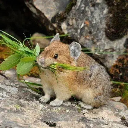 시대인재 수학 복습영상 복영 동보 구해요