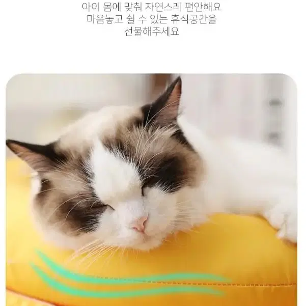 [무료배송]강아지 고양이 쿨매트 여름매트 시원한 편안한매트쿠션