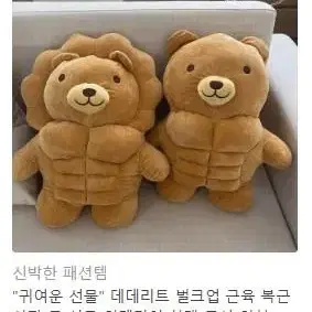 카카오 선물하기 데데리트 벌크업 근육 복근 사자 선물 인테리어 우지 인형