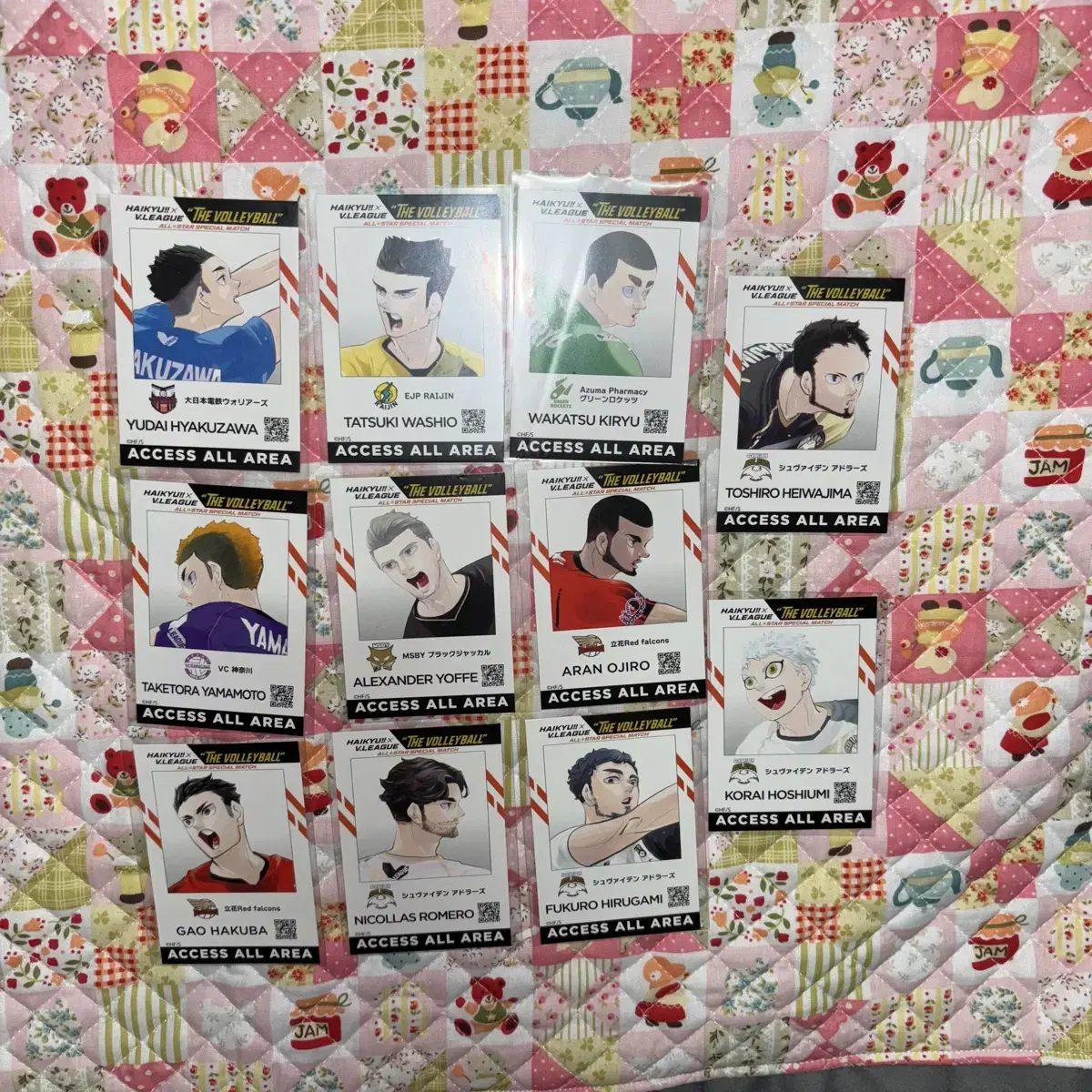 Haikyuu One Piece ID Card