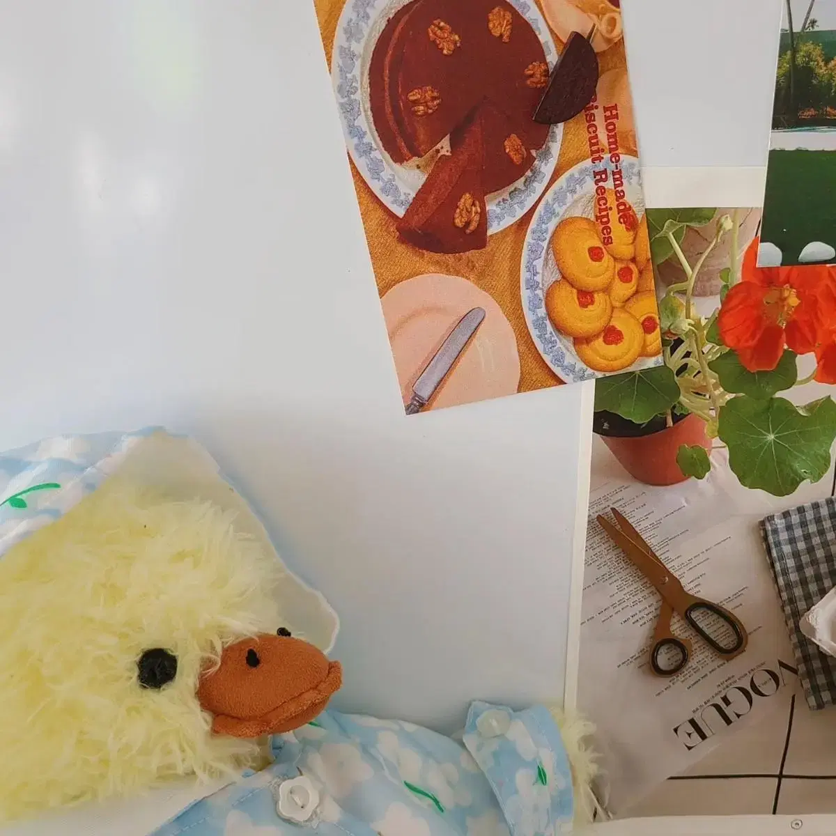thumbnail-1