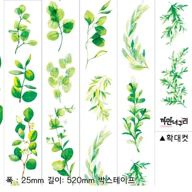 까너 그린 소폭 5패턴 (다꾸 빈티지 보타니컬 디테 박테 그리너리)