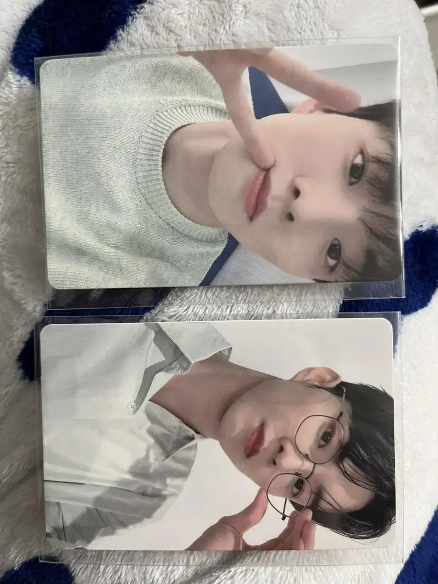 Dewittry q photocard