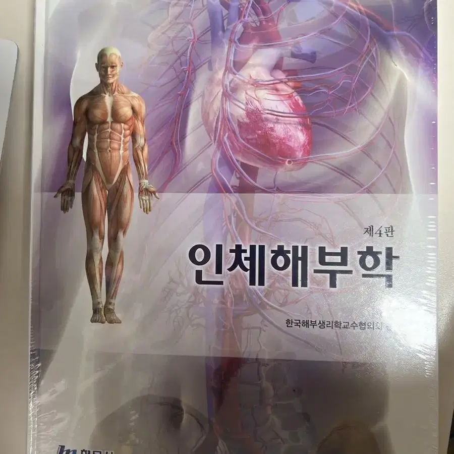 인체해부학