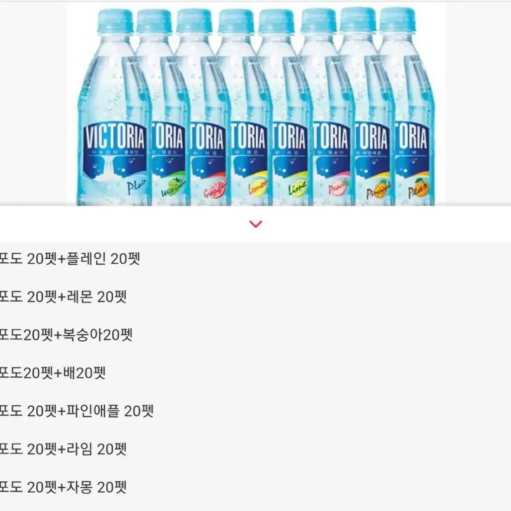 단하루~빅토리아 탄산수 500ml x  40병