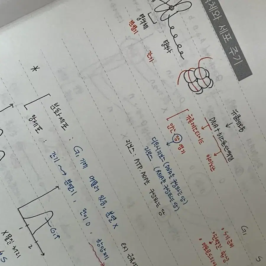 백호 모의고사 / 지구과학 마더텅