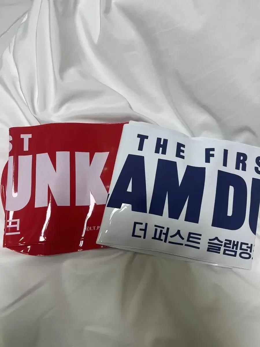 The First SLAM DUNK Cheerleading lightstick WTS