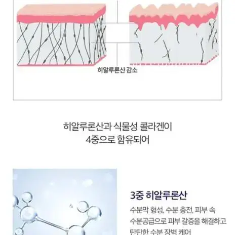 아틀리에비 바쿠치올 유스 퍼밍 세럼