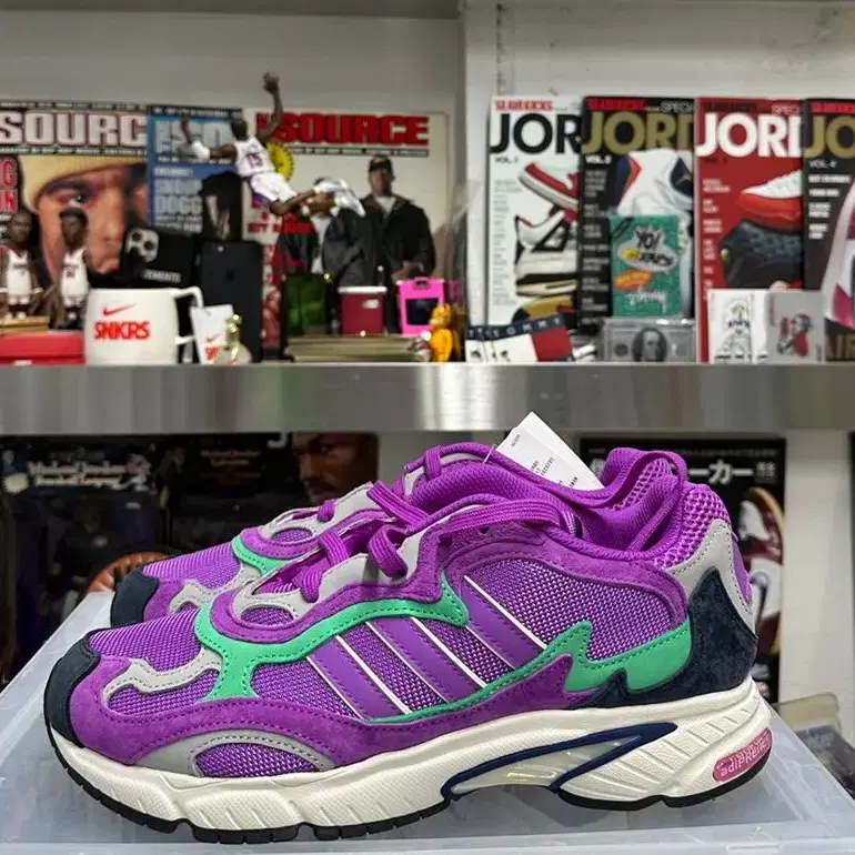 adidas temper run shock purple 아디다스 템퍼런