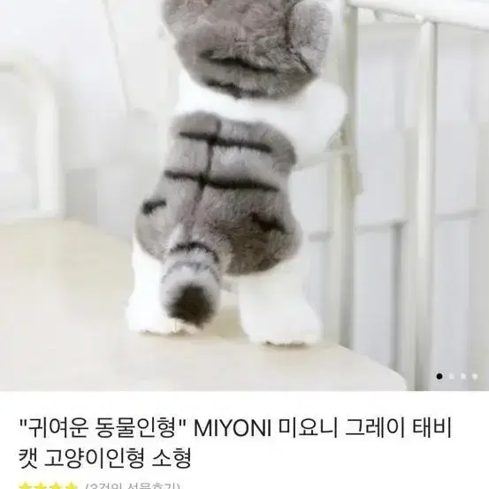 MIYONI 미요니 그레이 태비 캣 고양이인형 소형 고양이 인형