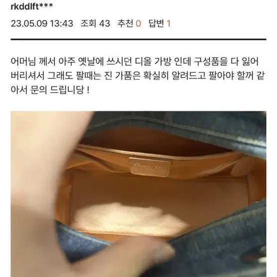 디올 레이디백