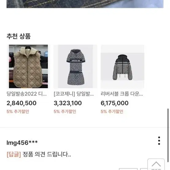 디올 레이디백