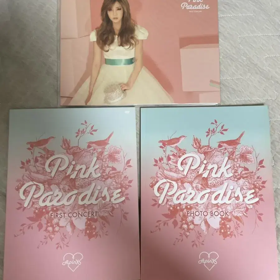 에이핑크 첫 번째 콘서트 핑크 파라다이스 dvd