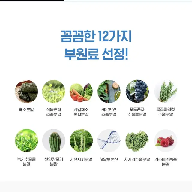 비비랩 정품 시서스원 체지방 감소 식약처 인증 안전한 다이어트 보조제