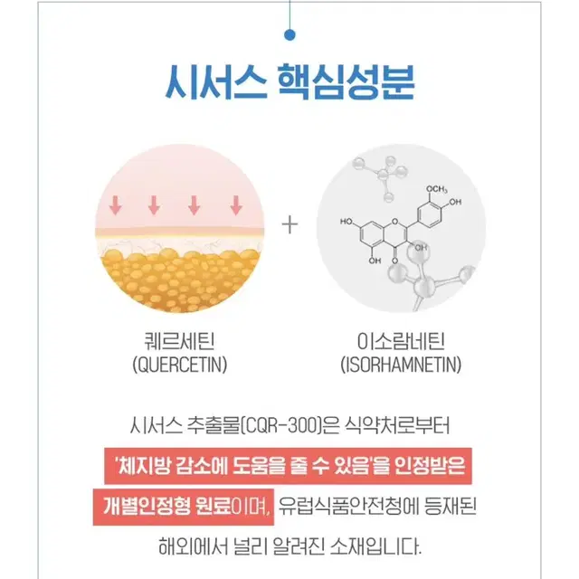 비비랩 정품 시서스원 체지방 감소 식약처 인증 안전한 다이어트 보조제