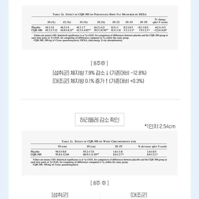 비비랩 정품 시서스원 체지방 감소 식약처 인증 안전한 다이어트 보조제