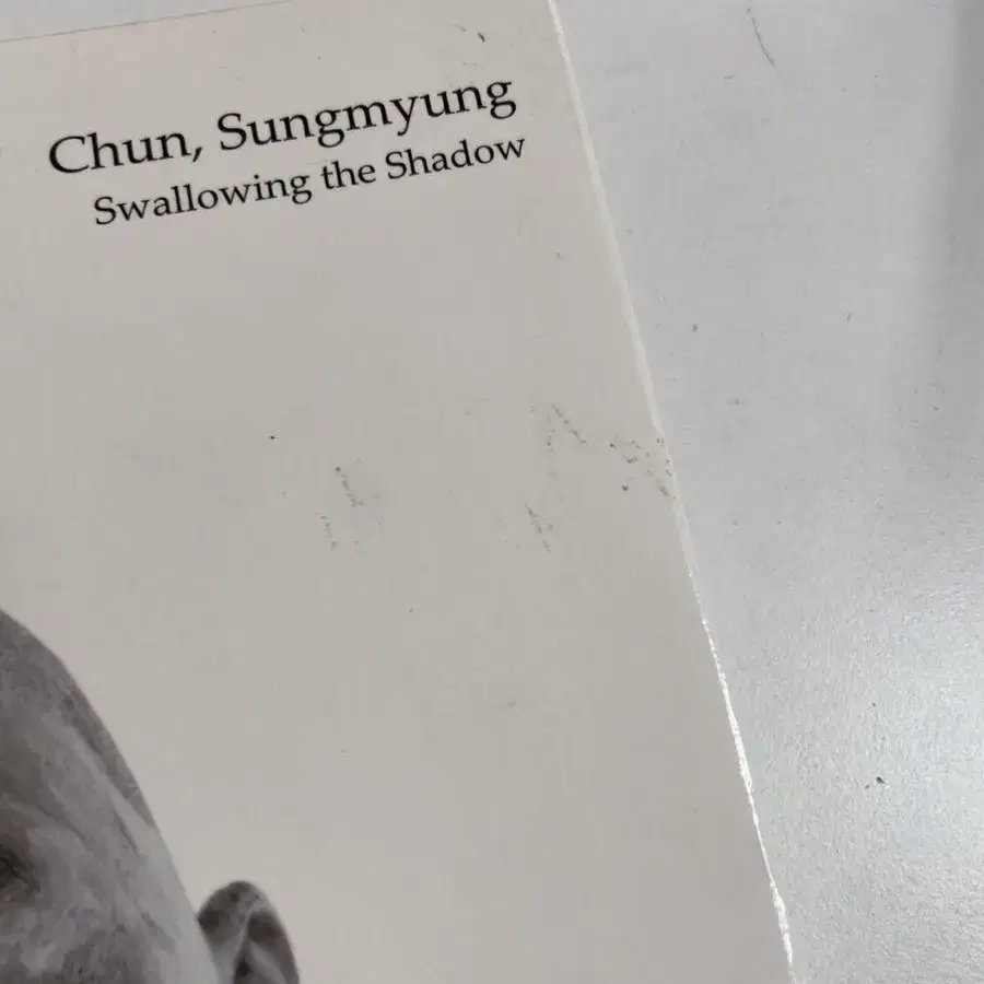 Chun,Sungmyung swallowing the shadow