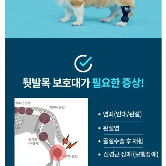 발토 뒷발목 보호대 교정기