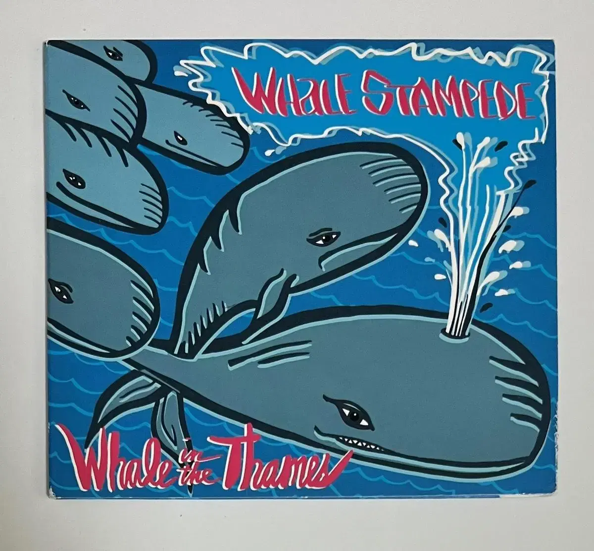 웨일 인 더 템즈 Whale Stampede 앨범 시디 CD