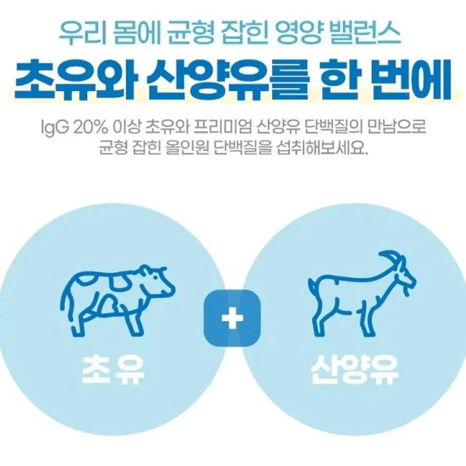 초유 산양유 단백질 5g x 100개입