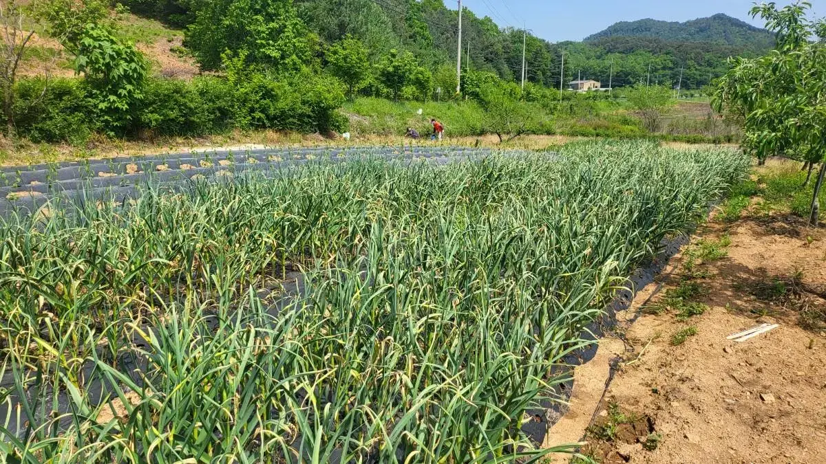 전북완주군화산면