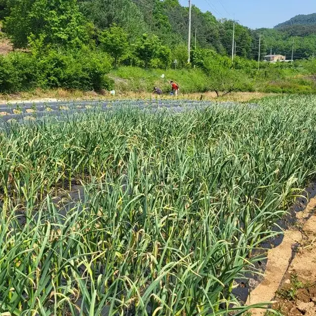 전북완주군화산면