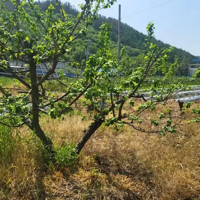 전북완주군화산면