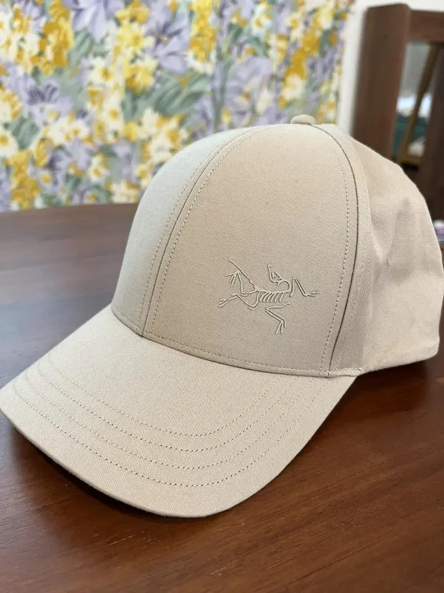 Arcteryx hat