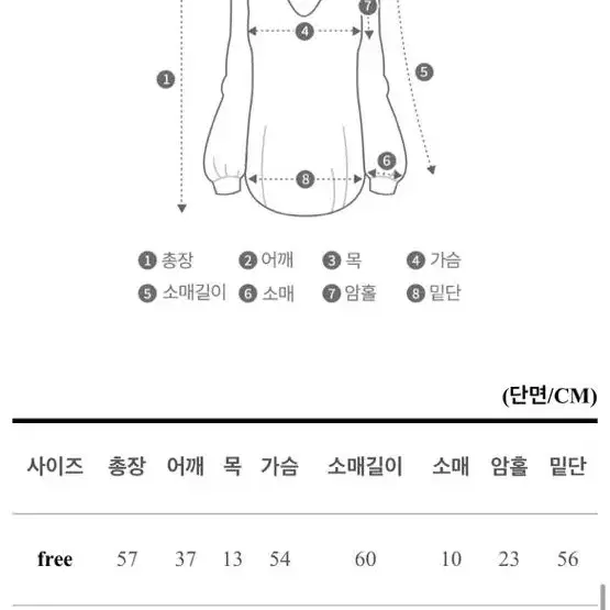 브이넥 깃털 레이스 블라우스 / 아이보리