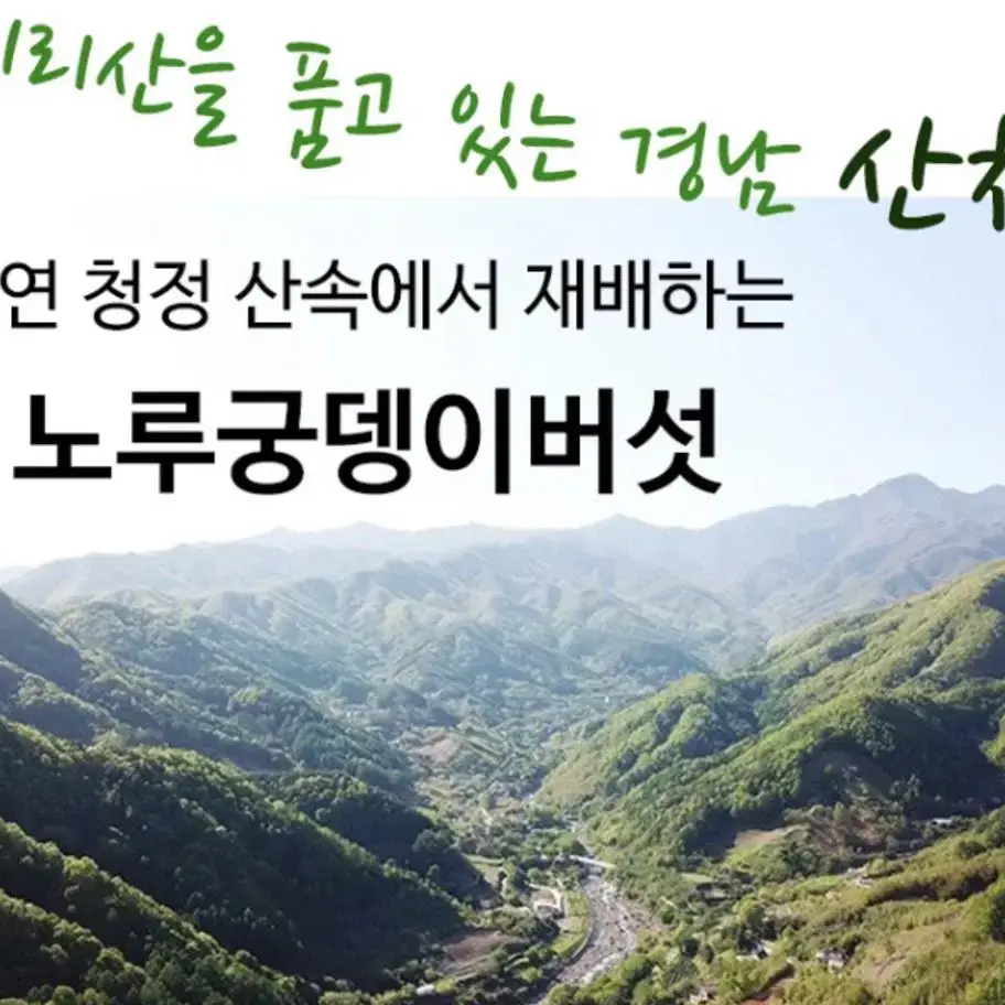 여기몽땅