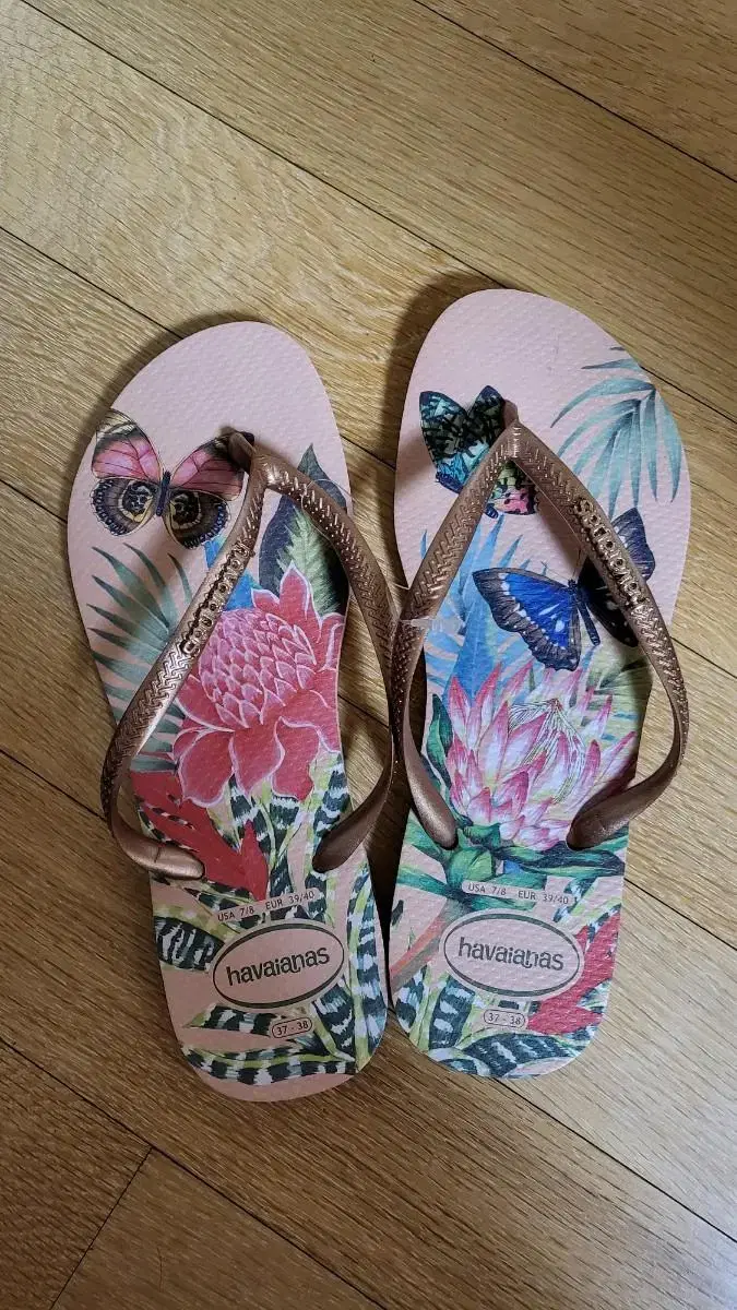 HAVAIANAS 쪼리 샌들/ 240