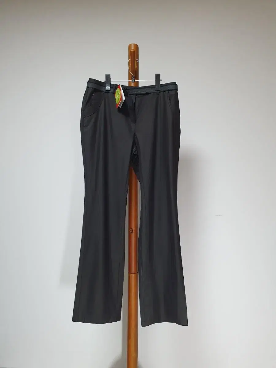 New North Face hiking pants 79