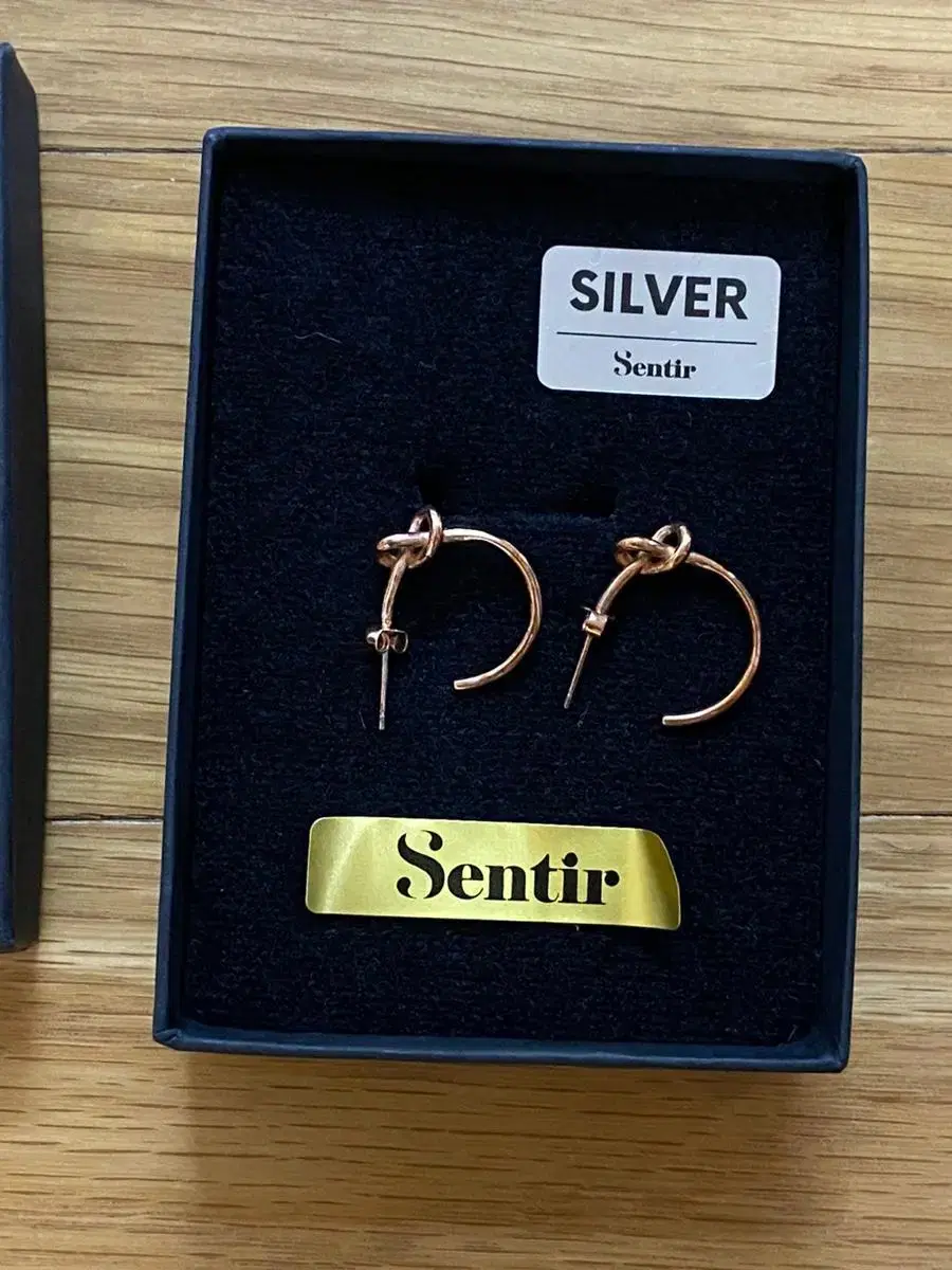 Centir Ring Earrings