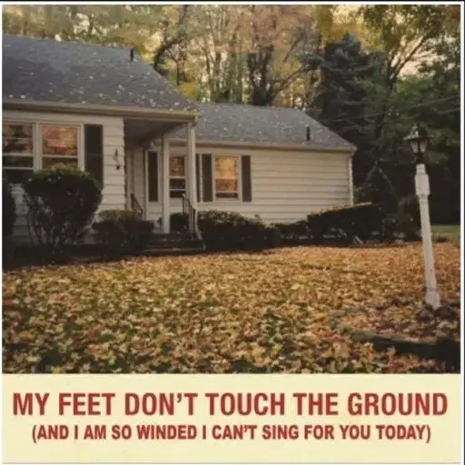 개봉) 검정치마 MY FEET DON'T TOUCH THE GROUND