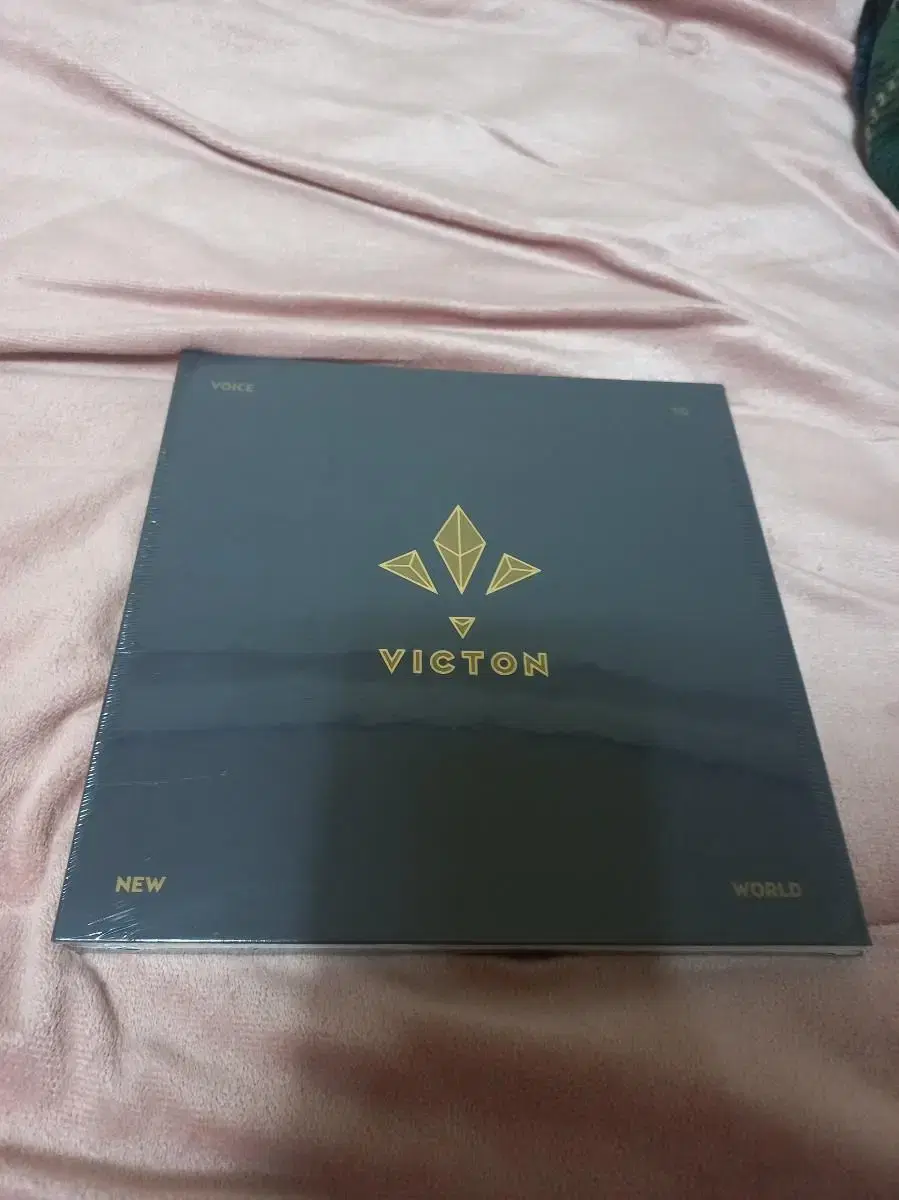 Unsealed VICTION mini-volume 1, Voice to New World.