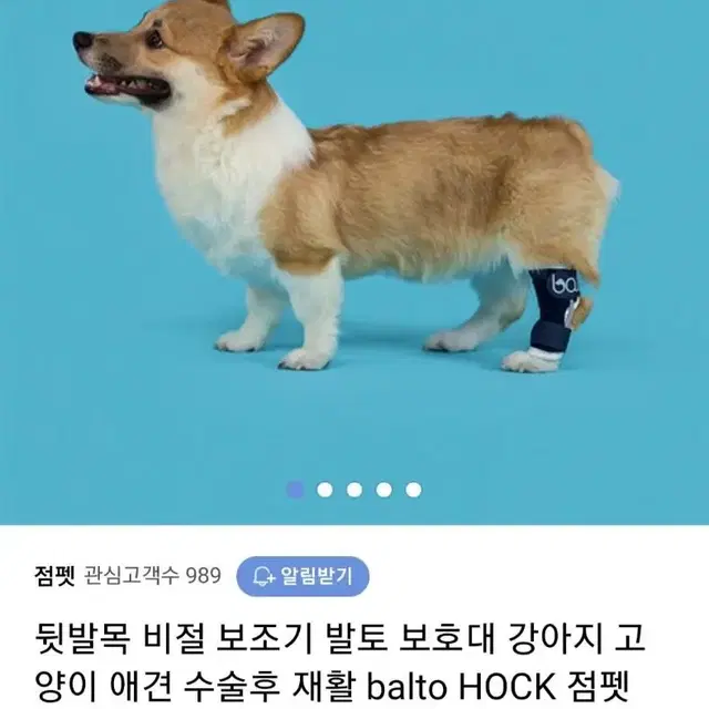 점펫 반려동물 보조기