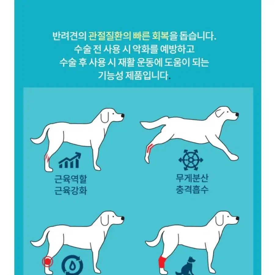 점펫 반려동물 보조기