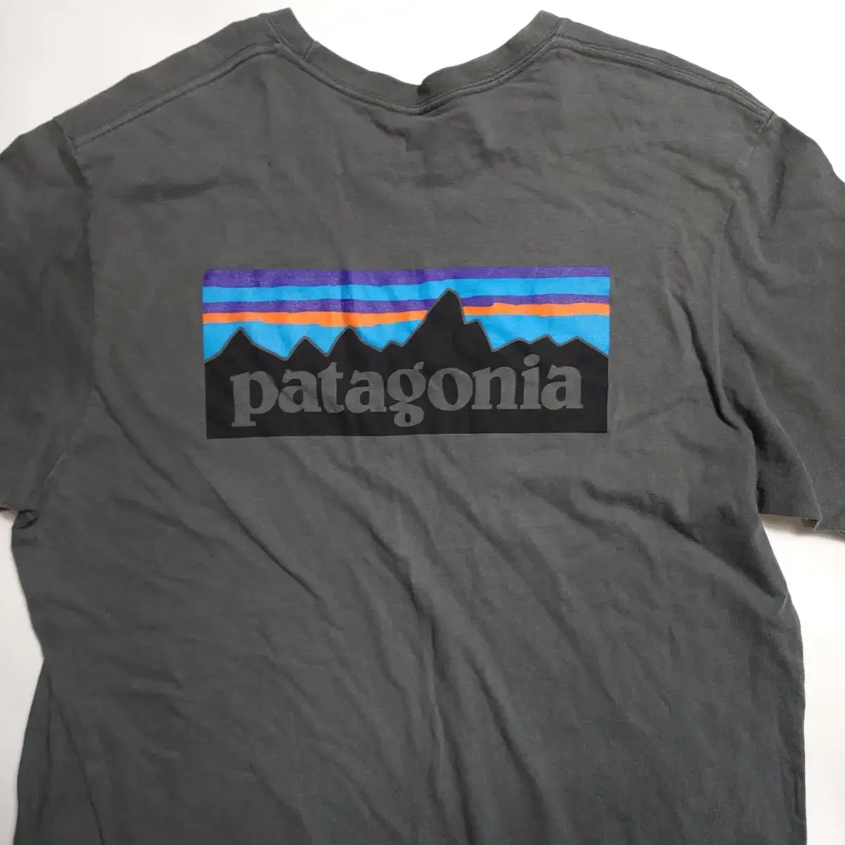 Patagonia PanPal T-Shirt