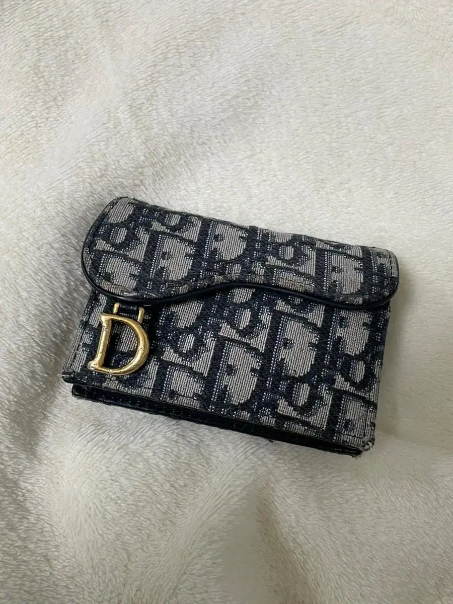 Dior Saddle Kard Wallet