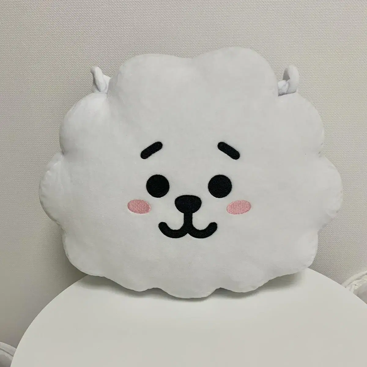 BT21 RJ Cushion for Jay